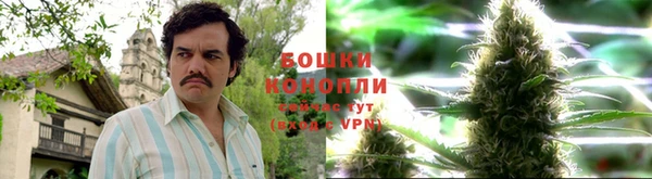 спайс Покачи