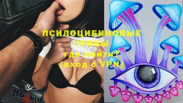 гидра Переславль-Залесский