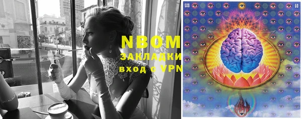 спайс Покачи
