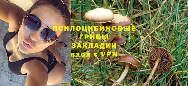 спайс Покачи