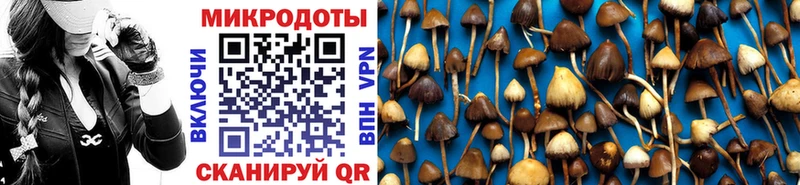 MEGA tor Тюкалинск Галлюциногенные грибы Psilocybine cubensis